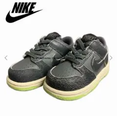 NIKE DUNK LOW SE(TDE) 16cm ナイキ ダンクロー キッズ