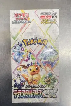 2025年最新】pokemON terastal festivalの人気アイテム - メルカリ