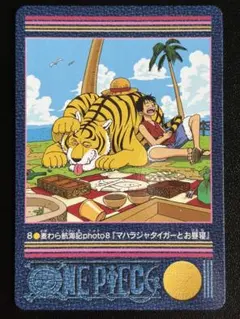 【美品】ワンピース ビジュアルアドベンチャー 麦わら航海記photo8