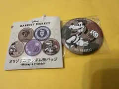 ディズニー缶バッチ