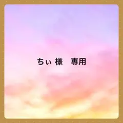 ちぃ 様　専用です