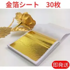 Item thumbnail for item 0ca04576-e93e-4d3a-8a62-377a098b1f3a