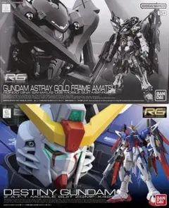 【2個セット】RG ガンダムアストレイゴールド天 アマツ／デスティニーガンダム