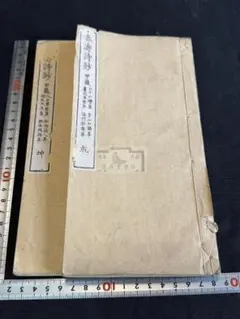 清 惲壽平 王 花卉山水合冊 二玄社 故宮博物院の名蹟 欠あり - メルカリ