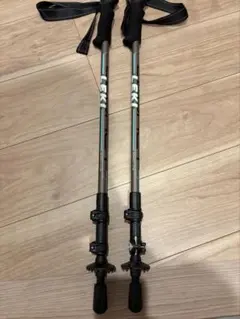 Item thumbnail for item 63253334-f832-4cb9-b65f-fd5ebaff07a9