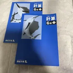 四谷大塚　予習シリーズ　計算　6年生　上下