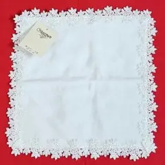 ♡Chikazawa 近沢レース ホワイト レース ミニタオルハンカチ 新品♡