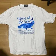 ホエールプリント Tシャツ ホワイト