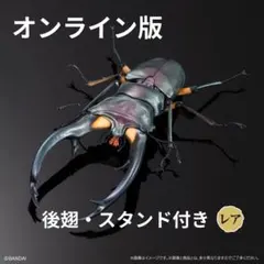 2026年最新】エラフスホソアカクワガタの人気アイテム - メルカリ