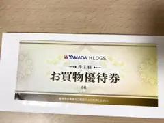 ヤマダ電機　お買物優待券 6枚 3000円分