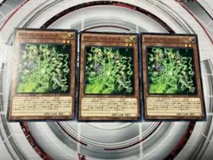 Item thumbnail for item 0657b92d-6771-493e-a4fd-5c58d012902e