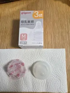 Item thumbnail for item 983937d7-44f4-421e-9dea-6f24a40f4d3d