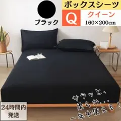 Item thumbnail for item 8eb13cf5-ff02-4dc7-97bc-79be207867e4