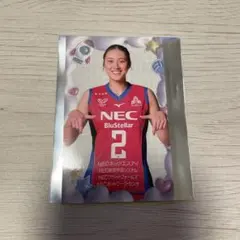 NECレッドロケッツ川崎 佐藤淑乃選手 うちわ - メルカリ
