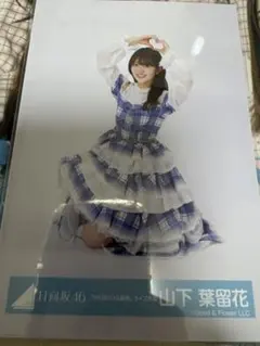 平尾帆夏「6回目のひな誕祭」ライブ衣装 生写真2種 - メルカリ