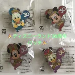 【新品・即日発送】ディズニー 30周年 バッジ 4点セット