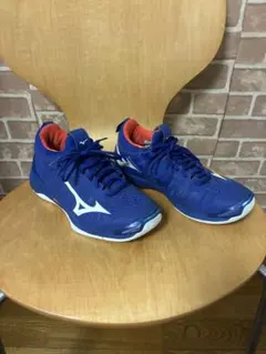Mizuno WAVE MOMENTUM 24.5センチのサムネイル
