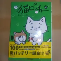 猫ピッチャー20