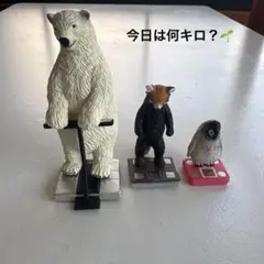 『タニタ×パンダの穴 今日は何キロ？』3種【セット販売】