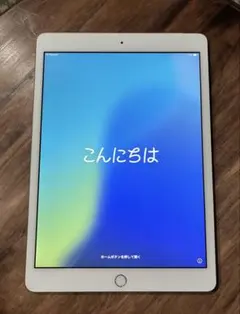 iPad 第７世代 A2198