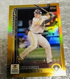 Item thumbnail for item a00392d4-174b-4f45-a720-77ff67842167