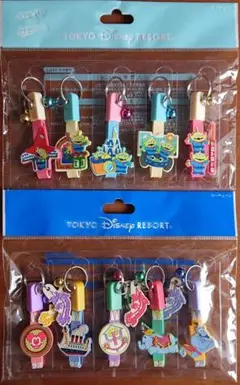 TDR パークアイコン / トイ・ストーリー キーチェーン