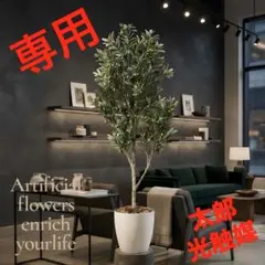 光触媒　観葉植物　ウォールグリーン　フェイクグリーン　スターライト120FST 光触媒 観葉植物 ウォールグリーン フェイクグリーン スターライト