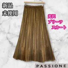 PASSIONE 新品未使用　光沢　プリーツスカート　ロングスカート　裏地付きのサムネイル
