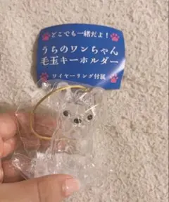 Item thumbnail for item 273729f8-8158-4962-92bb-63a163d7810d