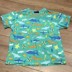 可愛いお魚柄＊半袖Tシャツ