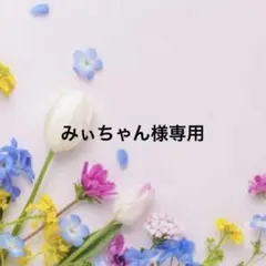 図書バックオーダー　みぃちゃん様専用