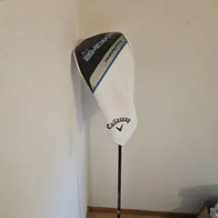 Item thumbnail for item 22f96673-aa89-4f89-908e-03616272f858