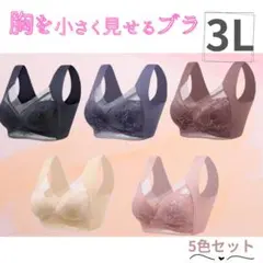 胸を小さく見せるブラ　シームレス 3L 着痩せ　美胸　ノンワイヤー　ナイトブラ