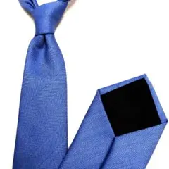 2025年最新】Atto Vannucci 柄・デザイン：無地 ネクタイの人気