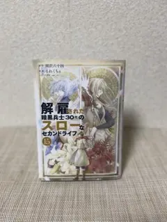 解雇された暗黒兵士（30代）のスローなセカンドライフ　15巻