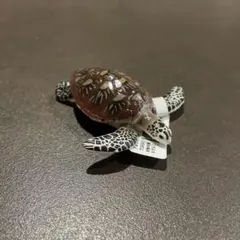 アオウミガメ　ミニチュアプラネット　miniature planetのサムネイル