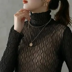 レース シアー カットソー 長袖 透け感 ハイネック 黒 トップス 重ね着 Ⅱ