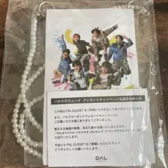 PALオリジナル　パルクロすっきゃねんず　ストラップ付きマルチケース