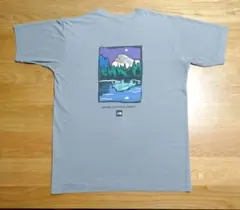 THE NORTH FACE ノースフェイス Tシャツ メンズ Lサイズ