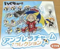 ハイキュー‼︎ アンブレラ　孤爪研磨