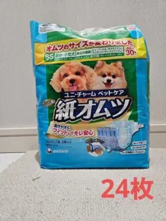 Item thumbnail for item 9a6b1c69-84bf-4272-b0f7-876a0201506e