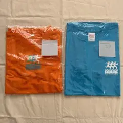 Item thumbnail for item f0f31c00-ca8e-49f6-927a-920fd0e76c06