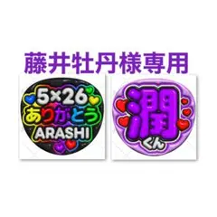 藤井牡丹様 リクエスト 2点 まとめ商品