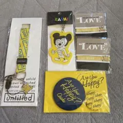 ARASHI ライブツアーグッズ セット　二宮和也