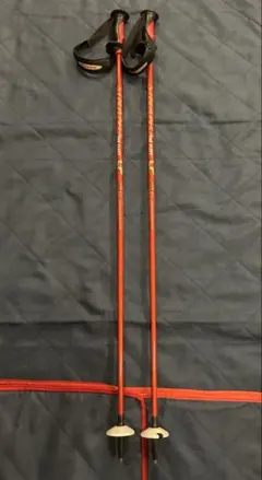 SINANO THE FLEETシナノ カーボン製 スキーポール