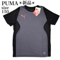 新品✨プーマ 150 ジュニア DRY CELL 半袖 Tシャツ 黒 グレー