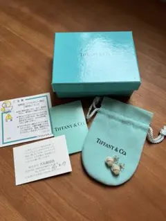 2025年最新】ティファニーショッパーの人気アイテム - メルカリ