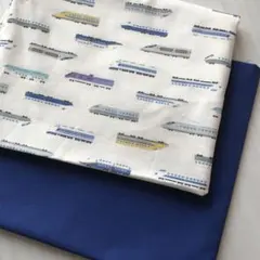 Item thumbnail for item 39357cb2-b434-4281-81c2-15ffa839ff7a