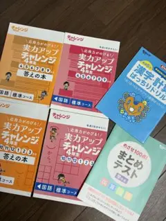 【6冊セット】実力アップチャレンジ 4年生 　国語　標準コース　ドリル、テスト付