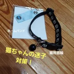 Item thumbnail for item c053466c-b397-43dc-b230-15e5f74823ed